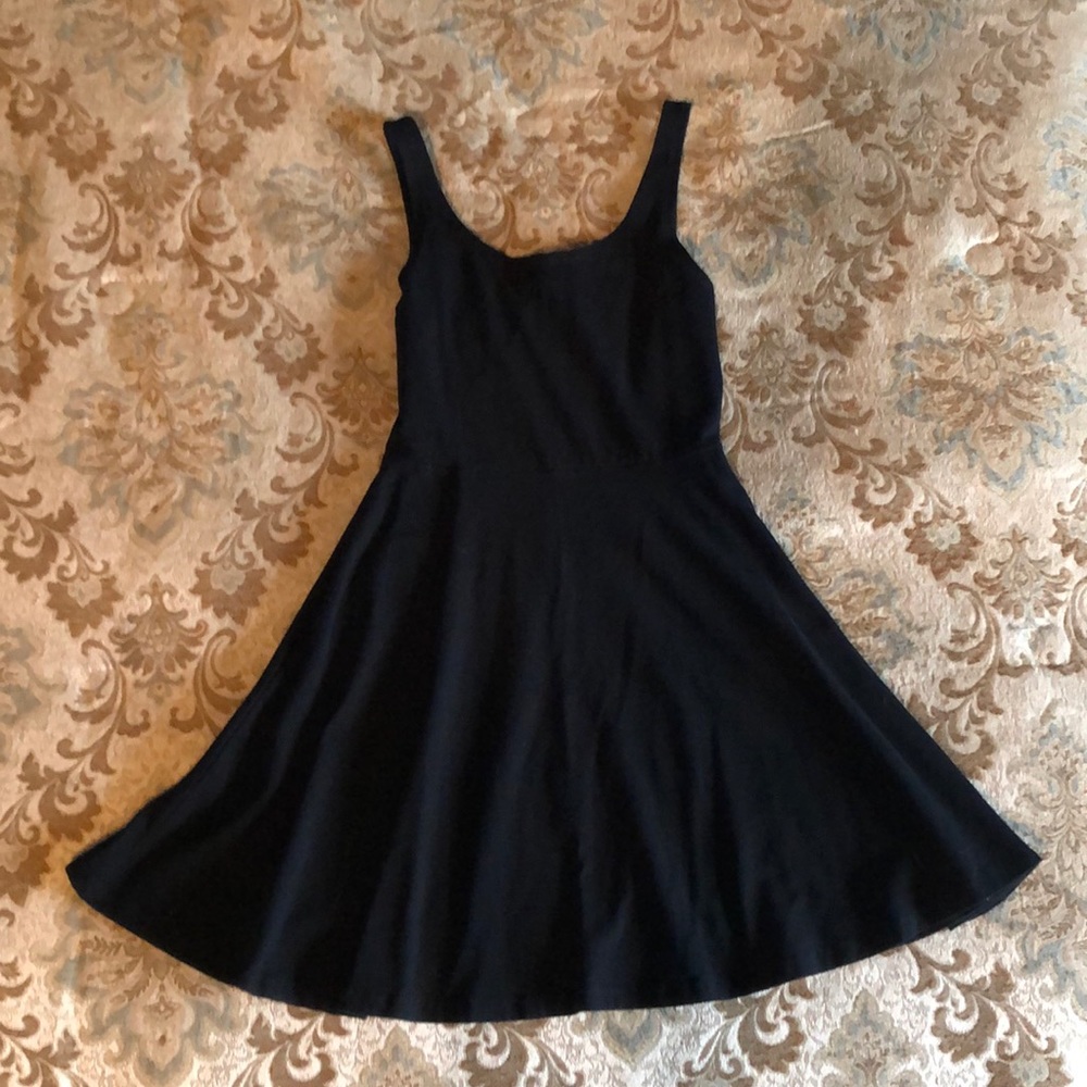 Express skater dress